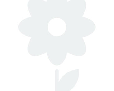 Tulipán botanický nízký 'Violacea Black Base'