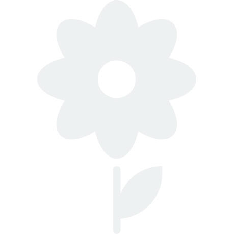 Fuchsie, čílko 'Versicolor' - Fuchsia magellanica 'Versicolor'